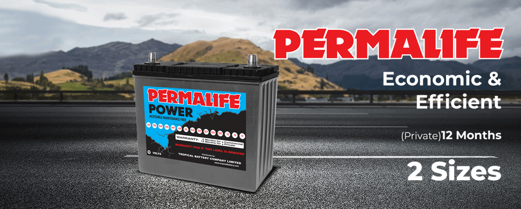 Batterie-Polklemme Minuspol PremiumMinus   - LIFE CAN  BE SO WANDELFUL!